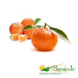 Clementine biologiche