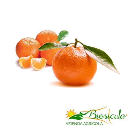 Clementine biologiche