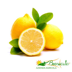 Limoni Primofiore Bio