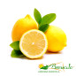 Limoni Primofiore Bio