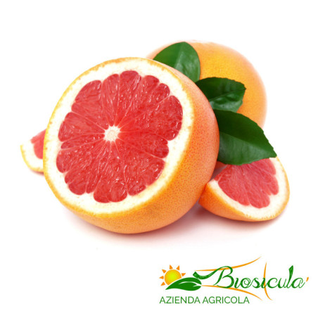 Pompelmo Rosa Bio