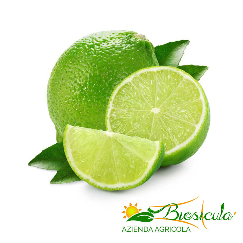 Limone Verdello Bio