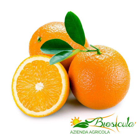 Arance Valencia Bio