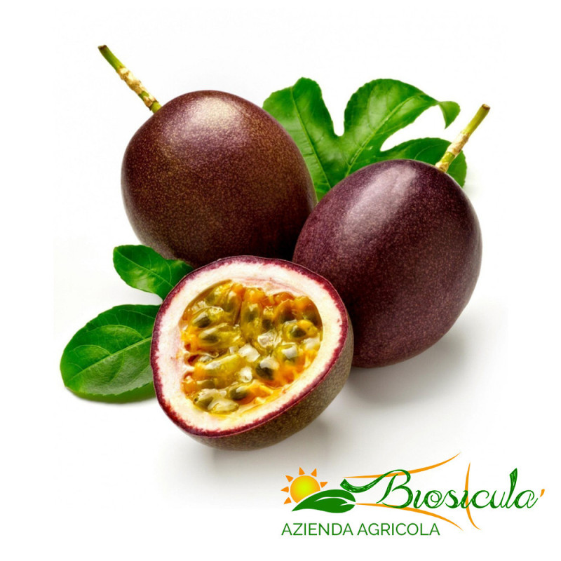 Frutto della passione