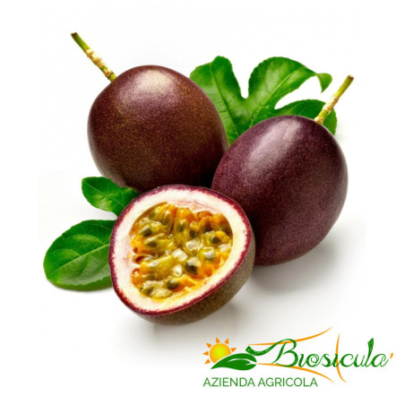 Frutto della passione