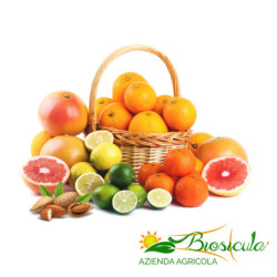 Box mix agrumi stagionali 5 Kg