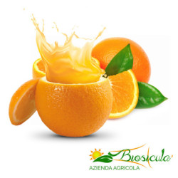 Arance Navel biologiche da spremuta