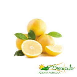 Pompelmo giallo bio